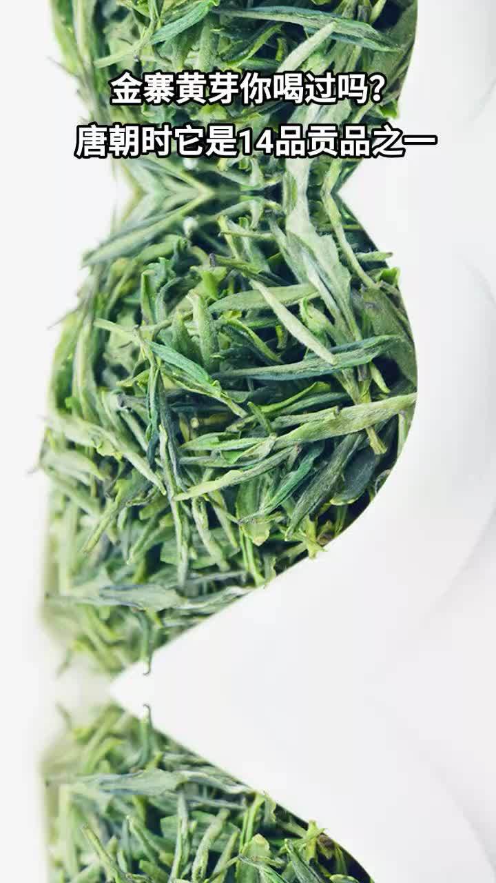 茶叶 自家茶园 金寨黄芽 没有喝过的来我直播间