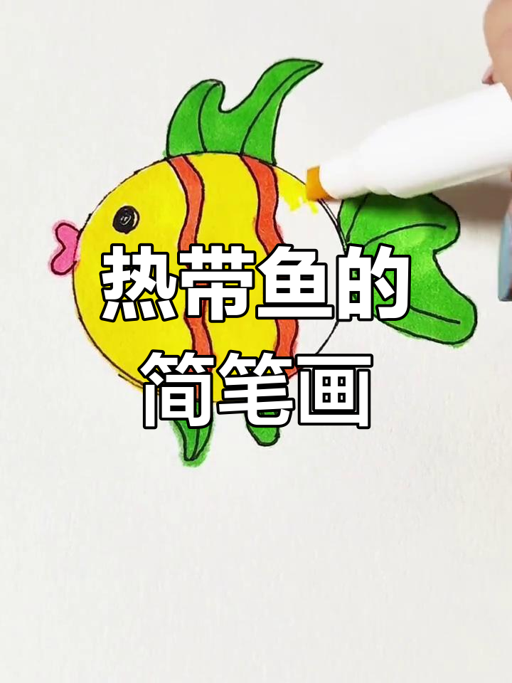 轻松画出可爱的热带鱼