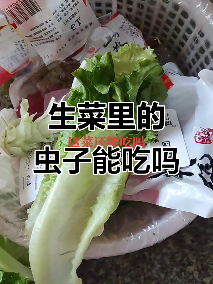每颗生菜里都有这种虫,吃了会不会中毒?