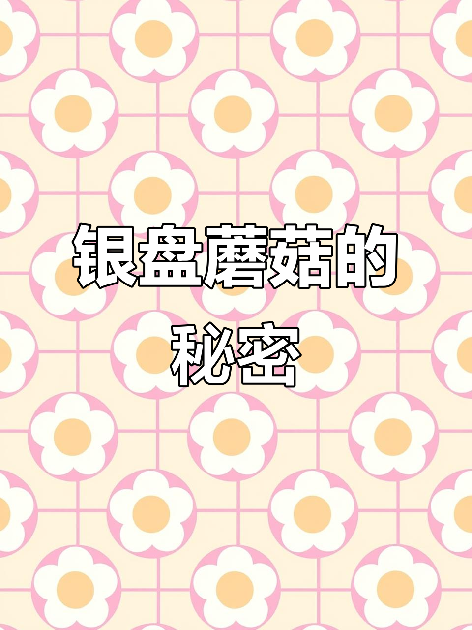 银盘蘑菇,营养丰富,清香可口,延年益寿