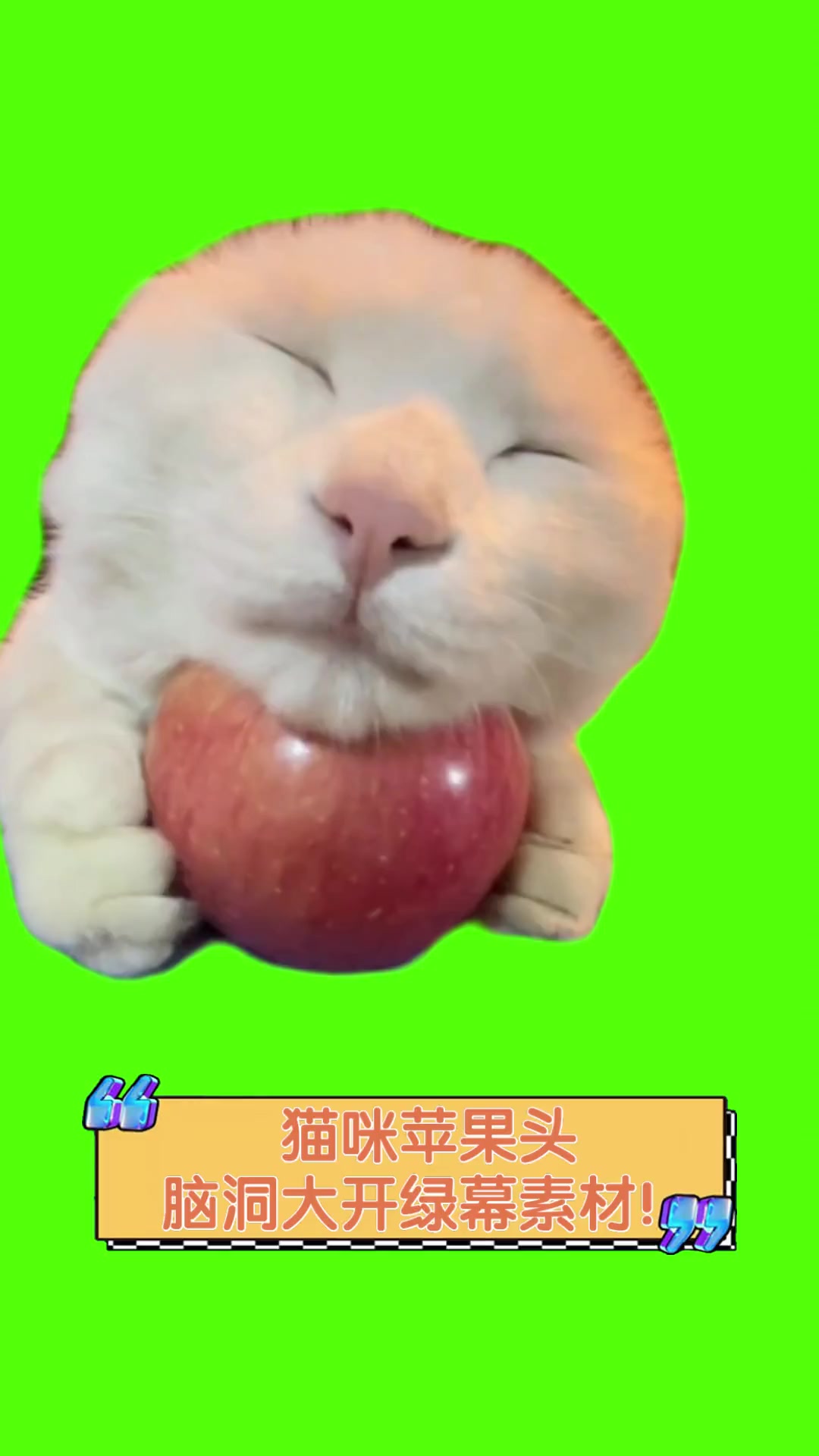 猫咪苹果头,脑洞大开绿幕素材!
