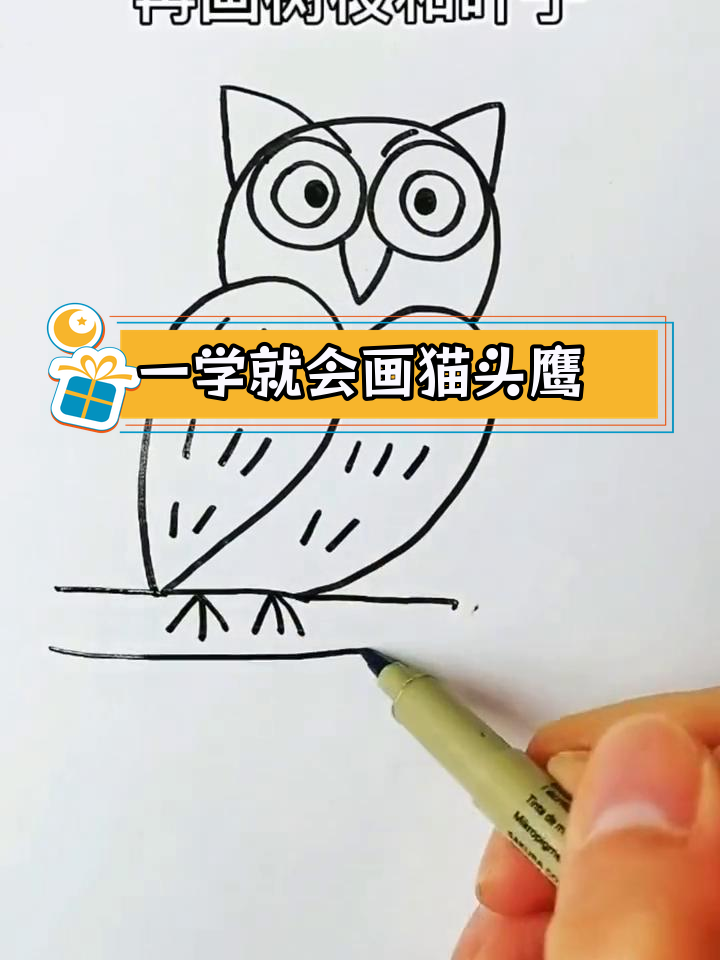 用简单步骤画出猫头鹰