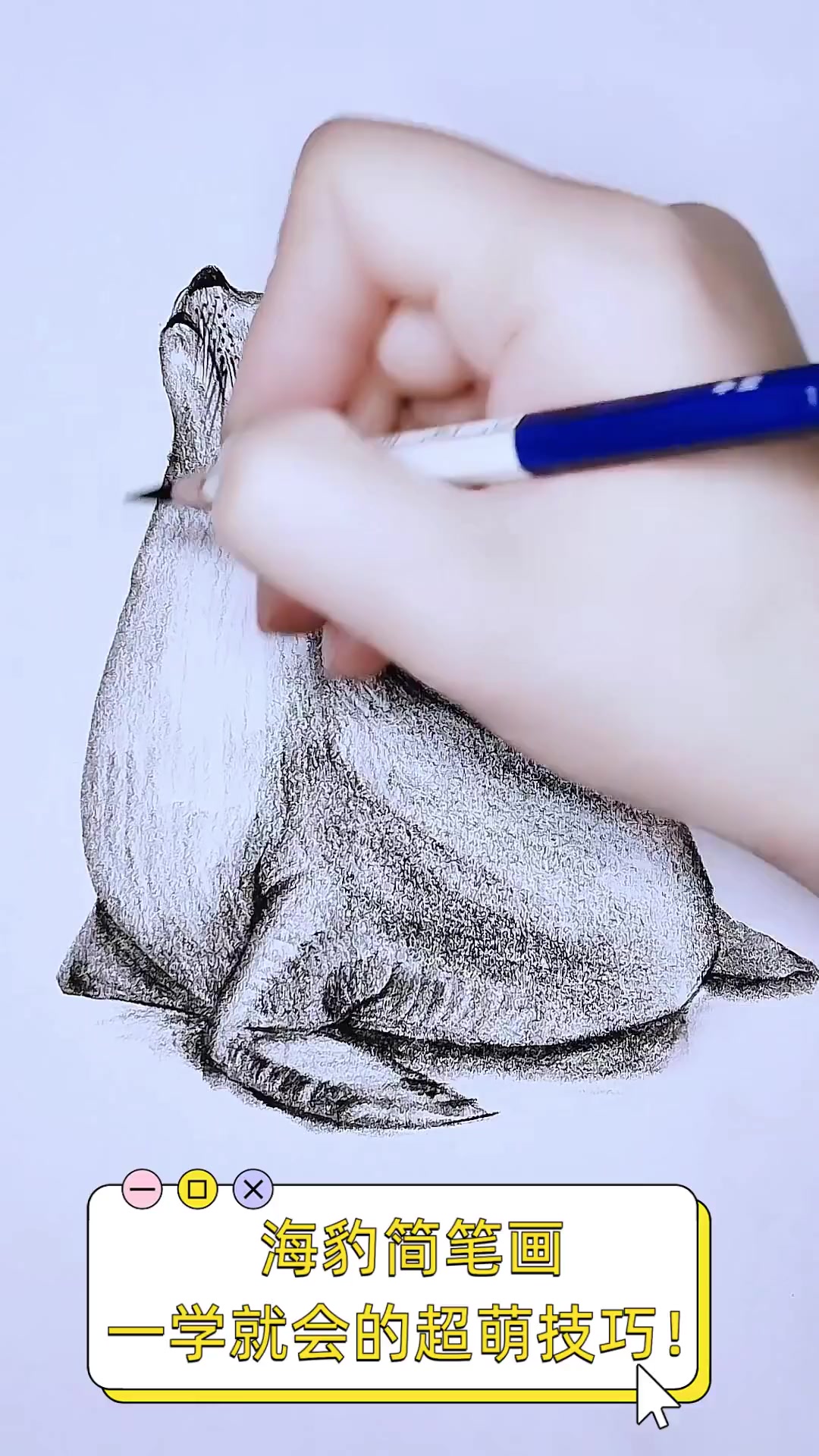 海豹简笔画,一学就会的超萌技巧!