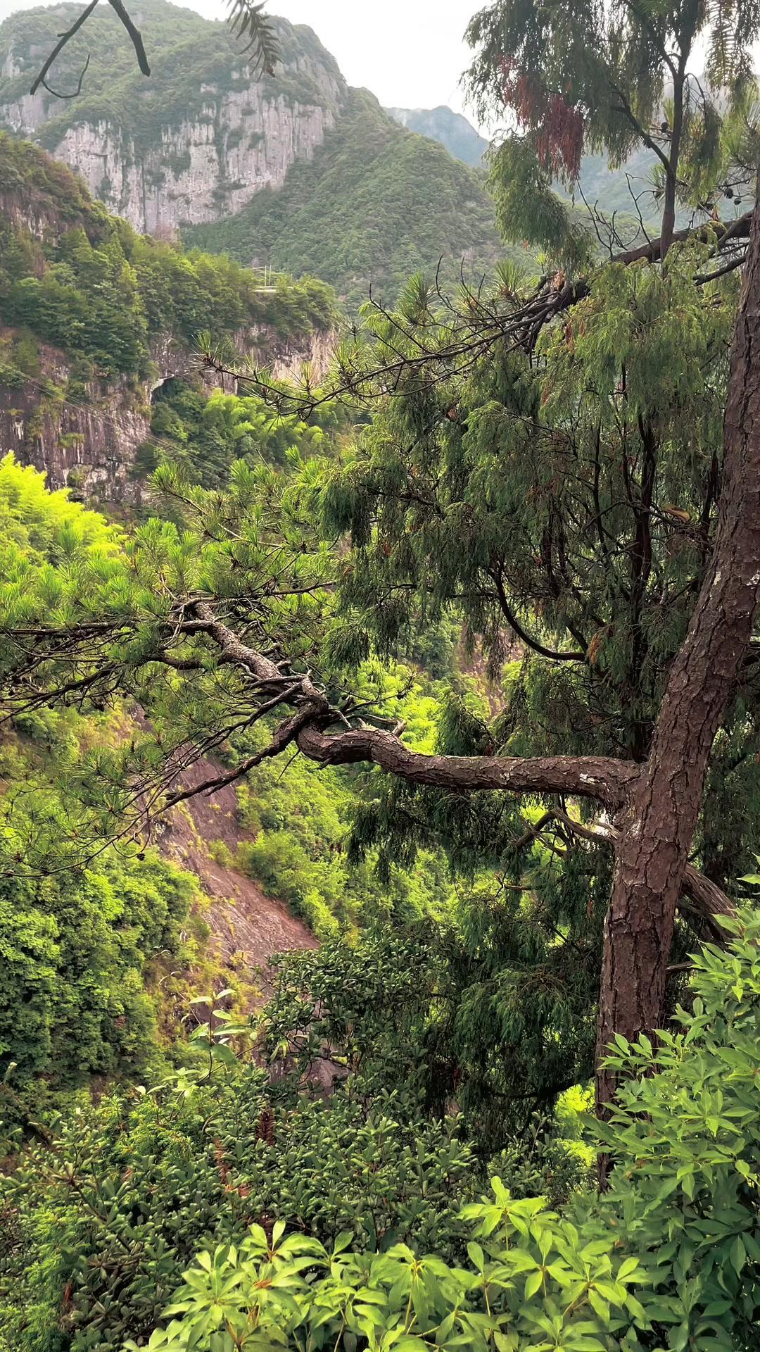 那么偏僻 大山深处自然美山清水秀好风光 悬崖峭壁上的风景