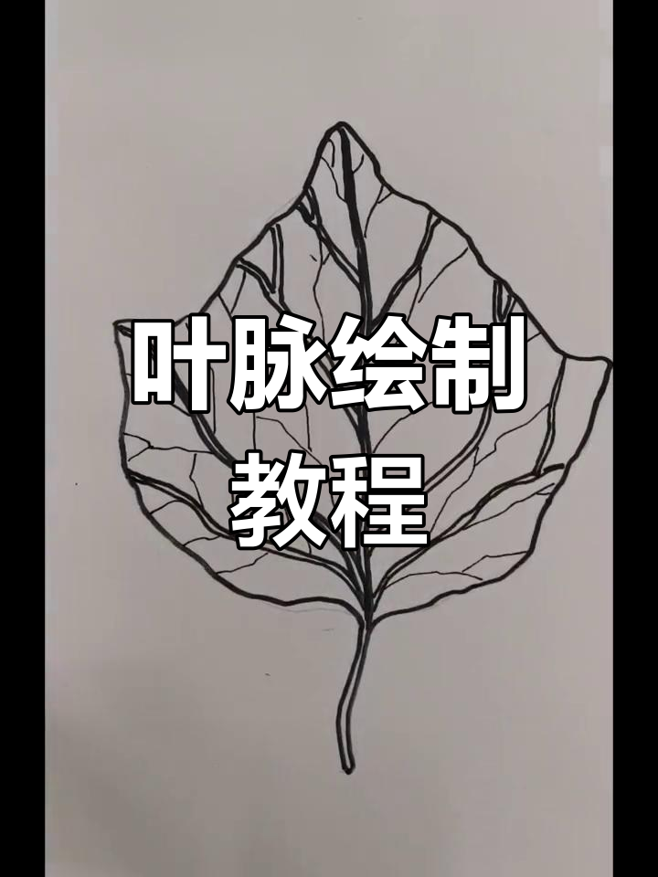 二年级学生学画叶子小血管,掌握细节技巧