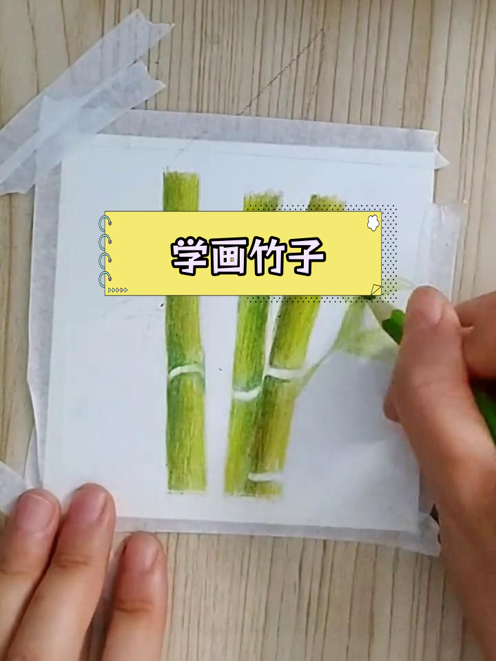简单竹子彩铅画教程,轻松学会