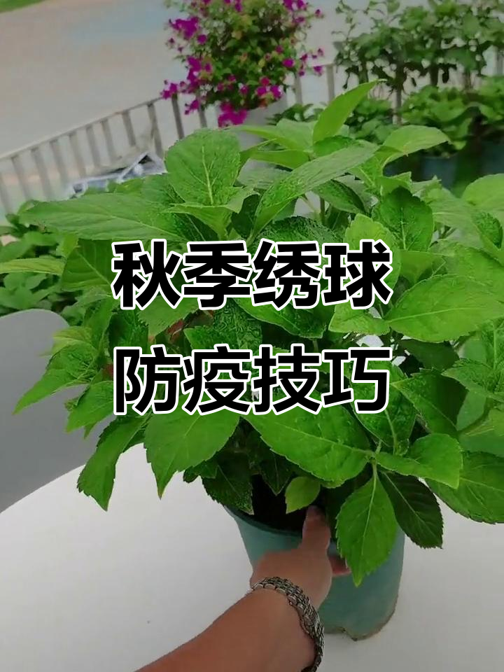 包含花卉怎样杀菌的词条 包罗
花草
怎样杀菌的词条（包罗是什么菜） 花卉
