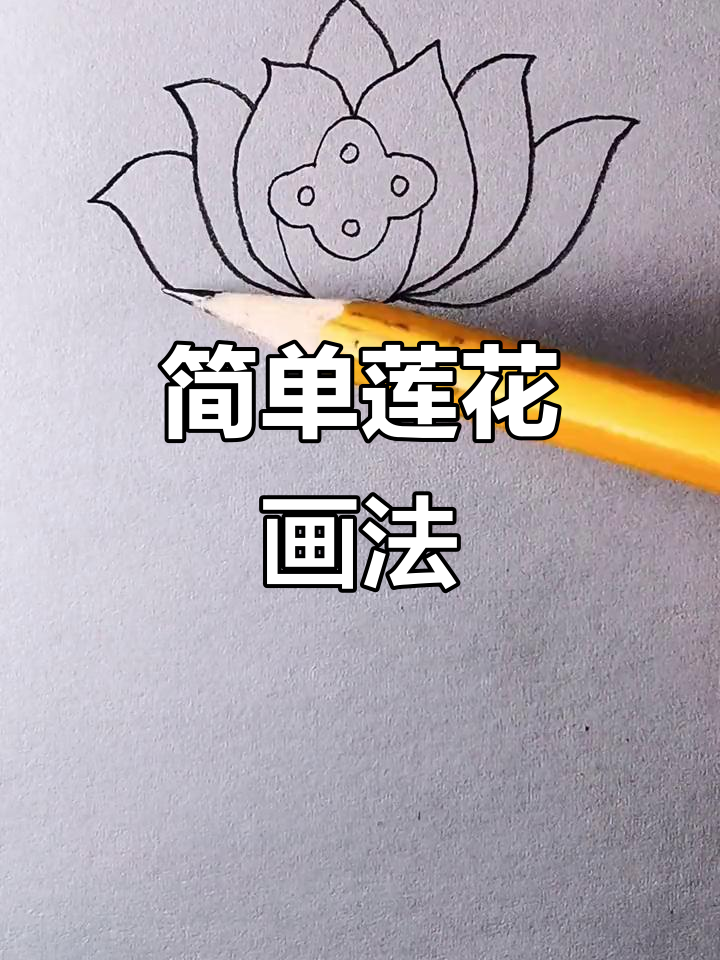 莲花简笔画教程,轻松学会画美丽荷花