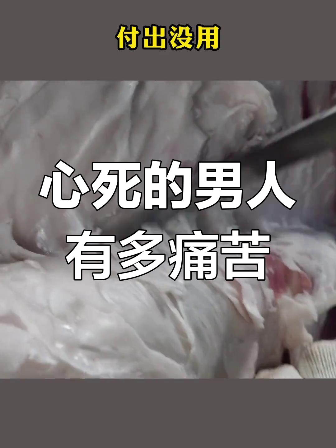 男人心死后的真实感受,比生气更可怕的是绝望