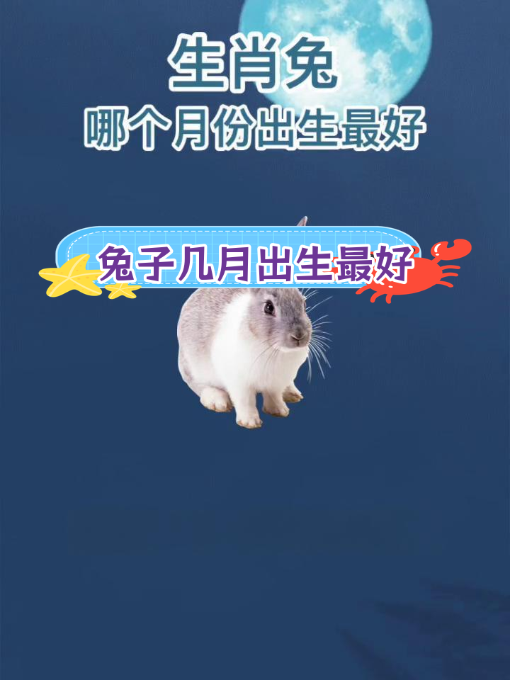 生肖兔正月生一生运势(属兔的正月出生的是什么命)