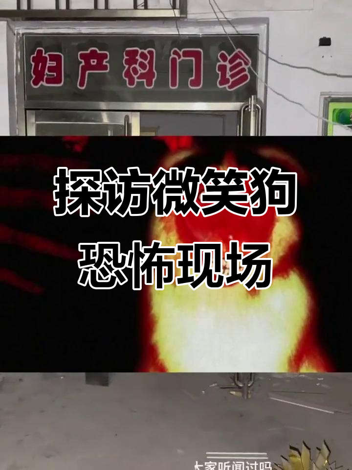 微笑狗传说揭秘:拖鞋,病床与神秘脚印的惊悚探险
