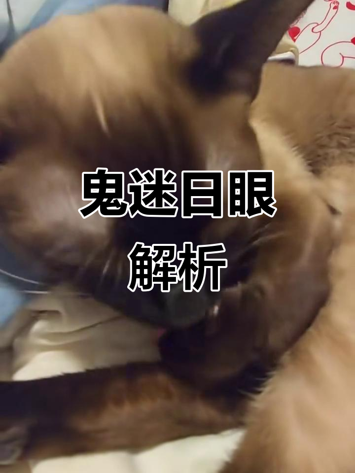 鬼迷日眼,神秘事件揭秘