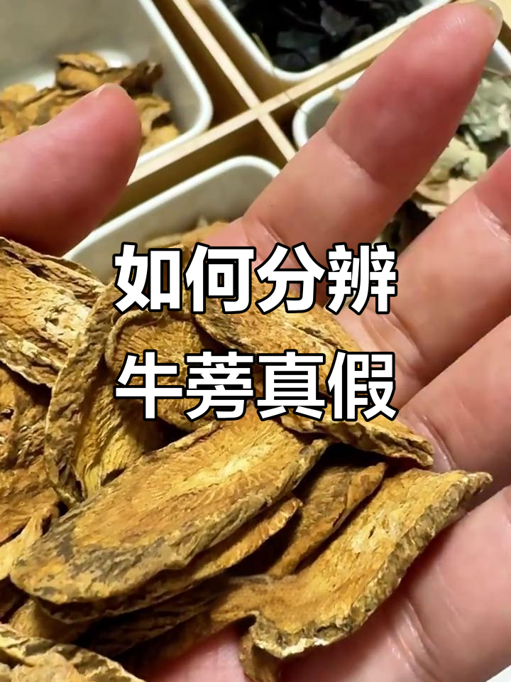 牛蒡与大吉利的区别,如何辨别真伪