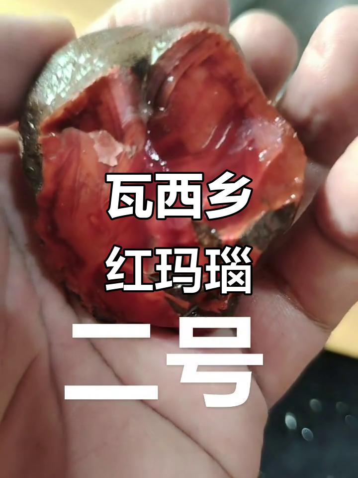 美姑县瓦西乡红玛瑙原石,未出售的珍稀宝石