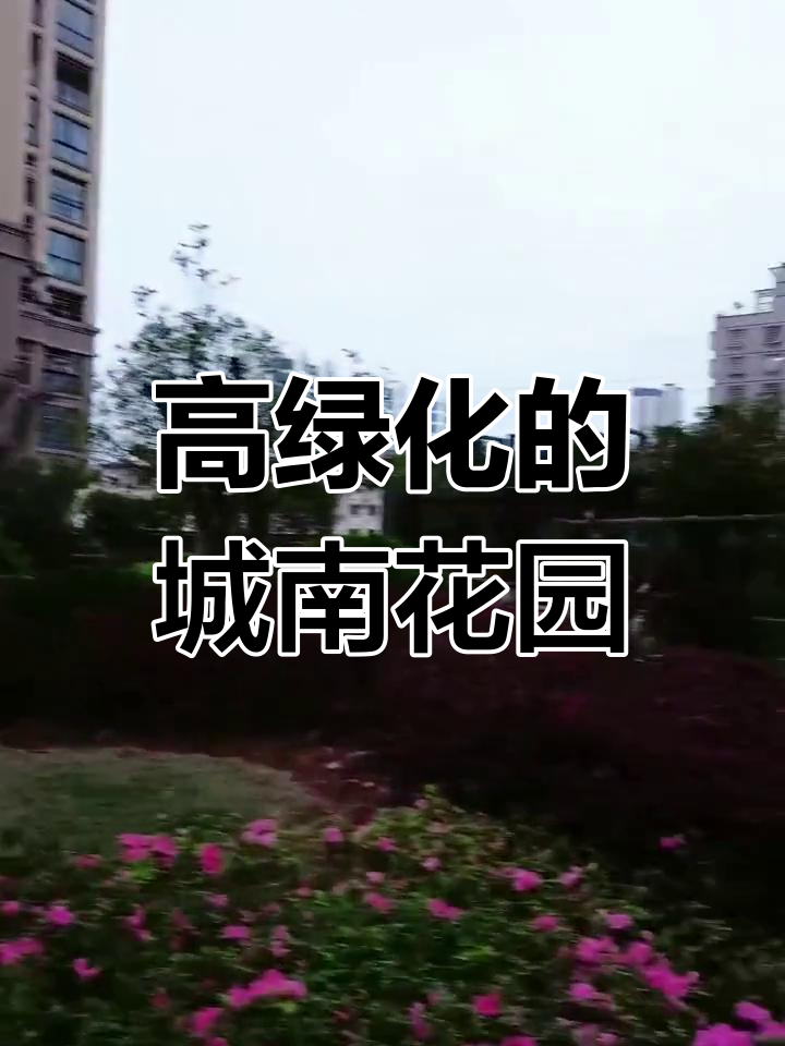 城南花园小区,绿化率高达42%