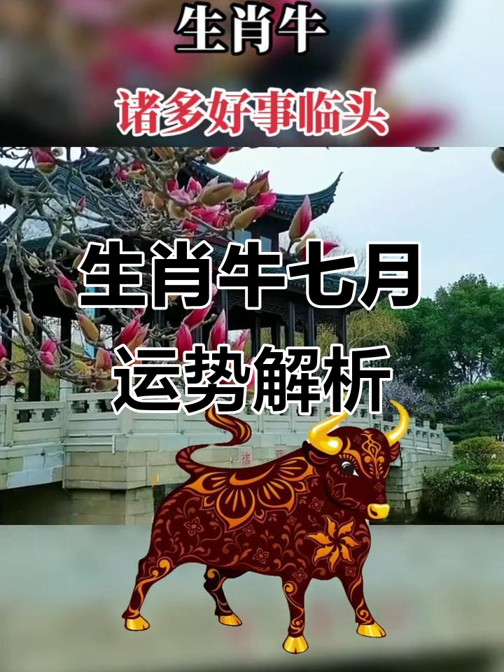 生肖牛七月运势如何6(属牛的七月运势)