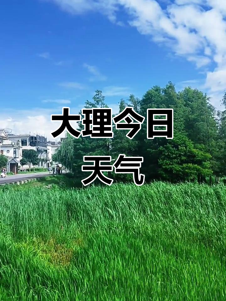 大理天气天气
