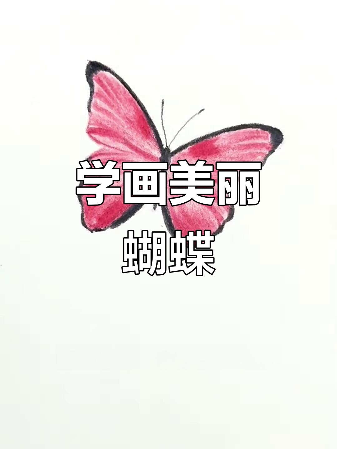 彩铅蝴蝶画法,简单又好看