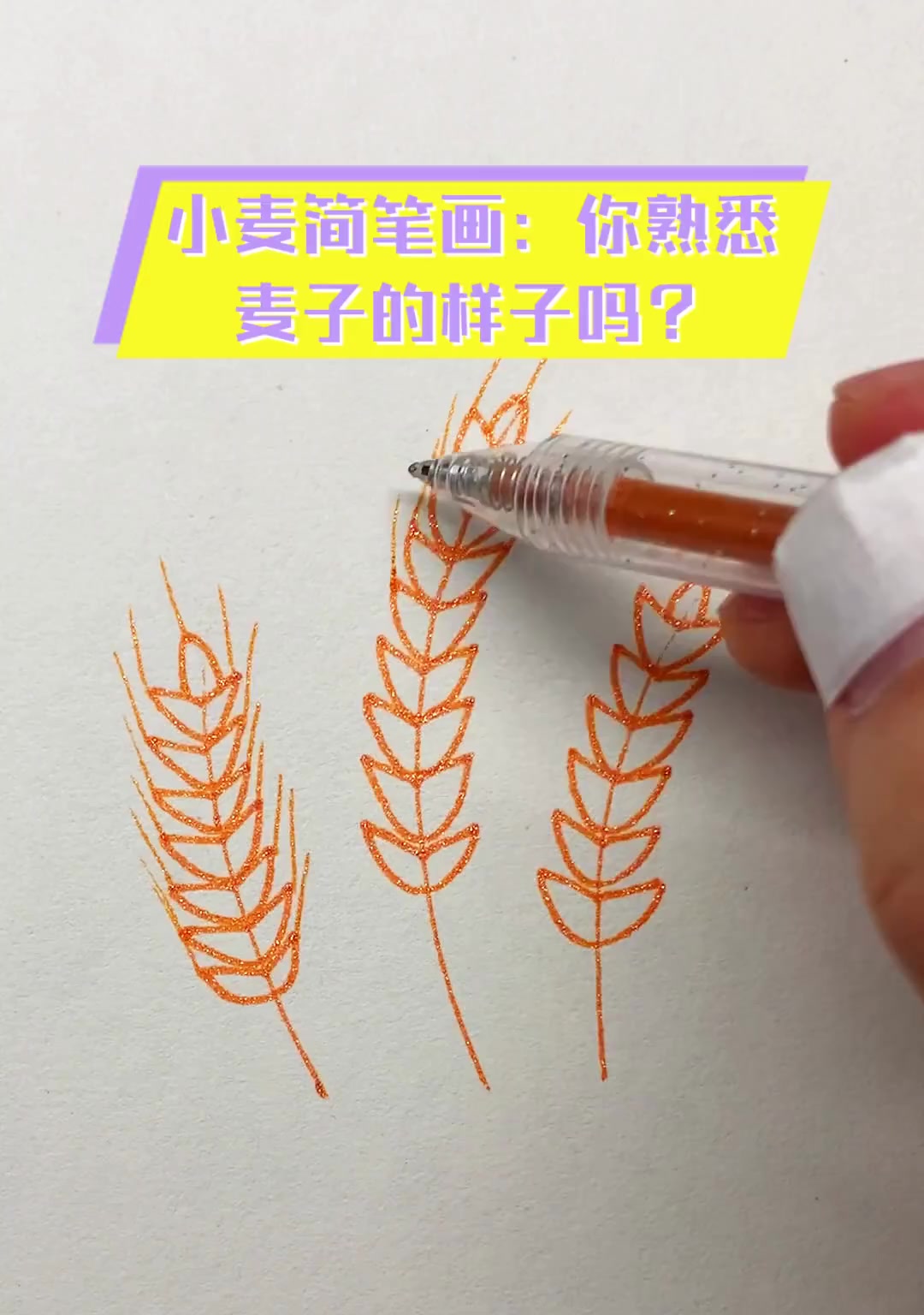 怎样画麦子图片