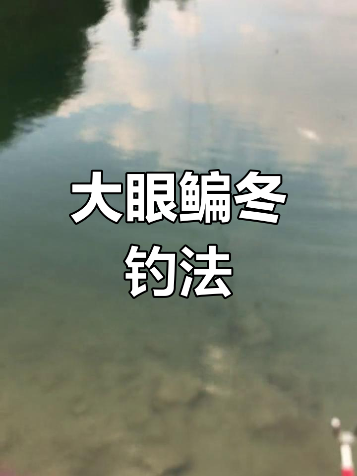 黄河冬季钓法图片