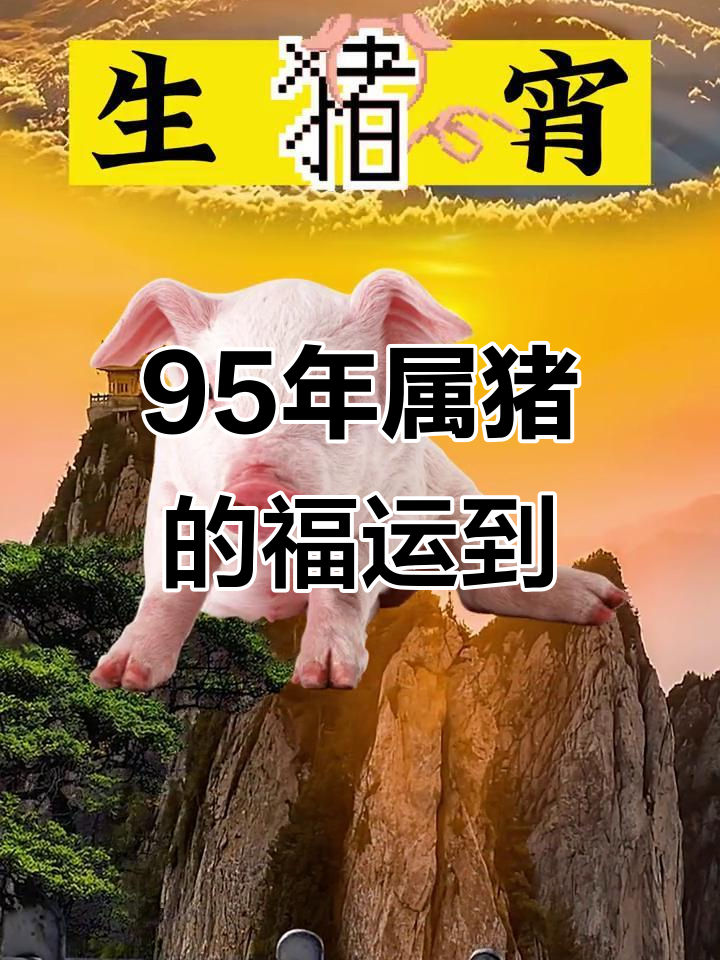 生肖猪的财运运势如何看(生肖猪的财运运势如何看男女)