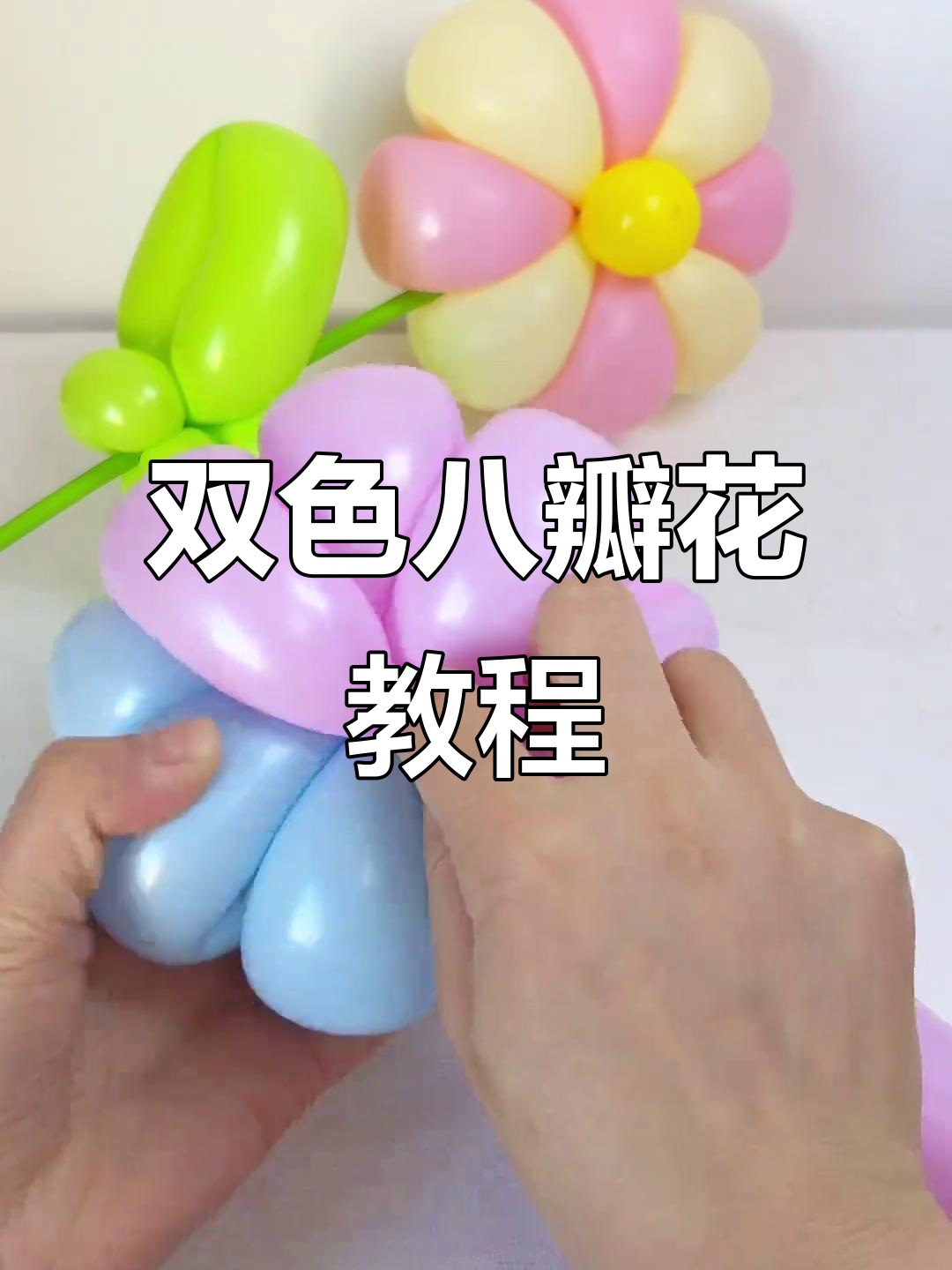双色八瓣花气球教程,简单步骤教你轻松做出美丽造型