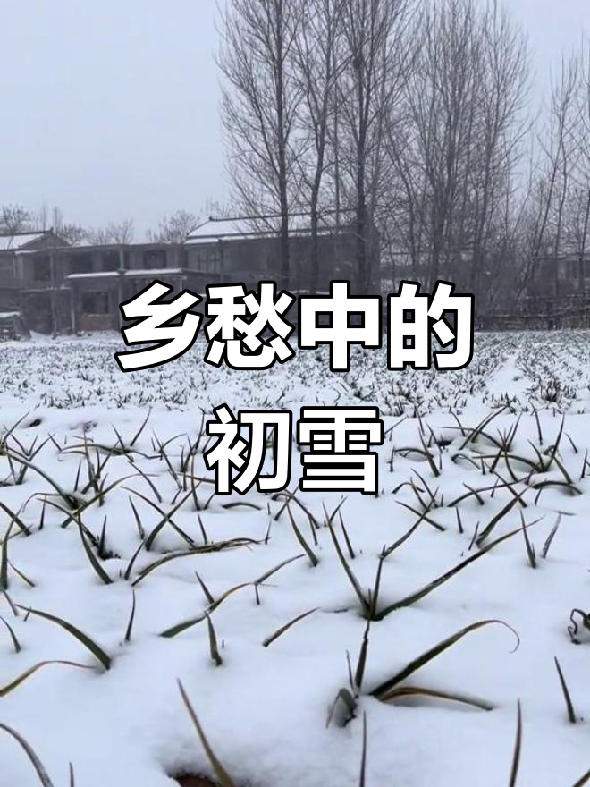 离开故乡,四季不再