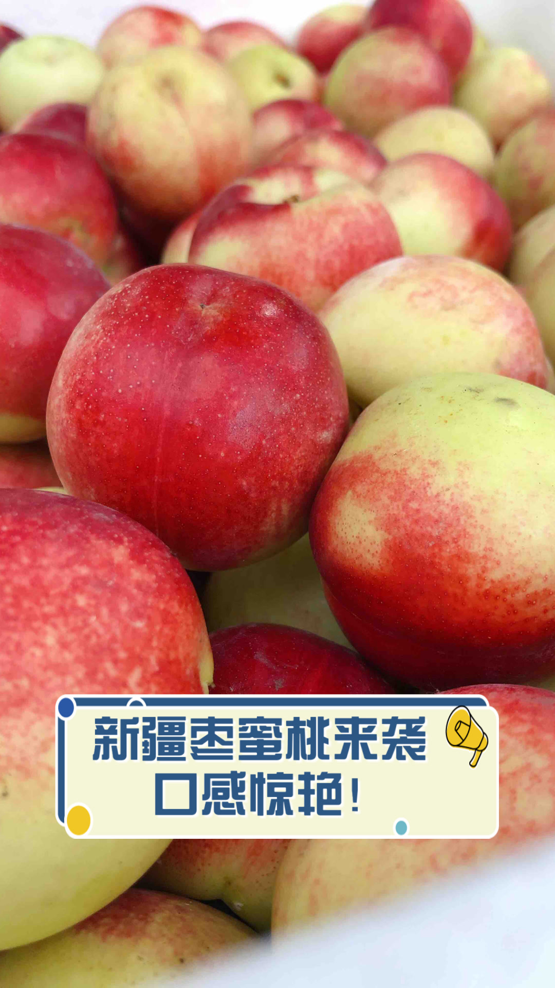新疆枣蜜桃来袭,口感惊艳!