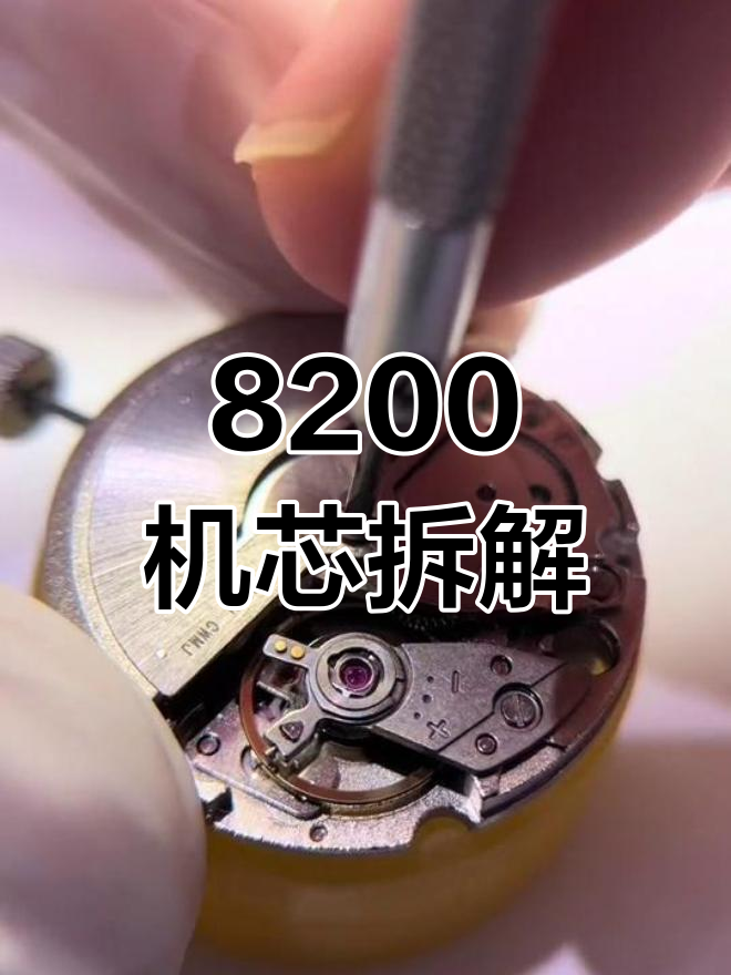 拆解8200机芯,揭秘名表内部结构