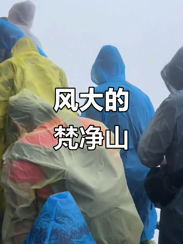 梵净山景区天气预报马上知