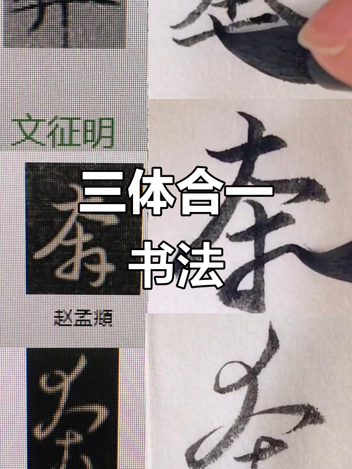 奔字三体,行草楷一体,笔触淡雅,师友书法精湛