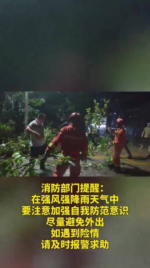 和大风天气影响,广西梧州市蒙山县多地区出现树木折断阻碍道路通行,多