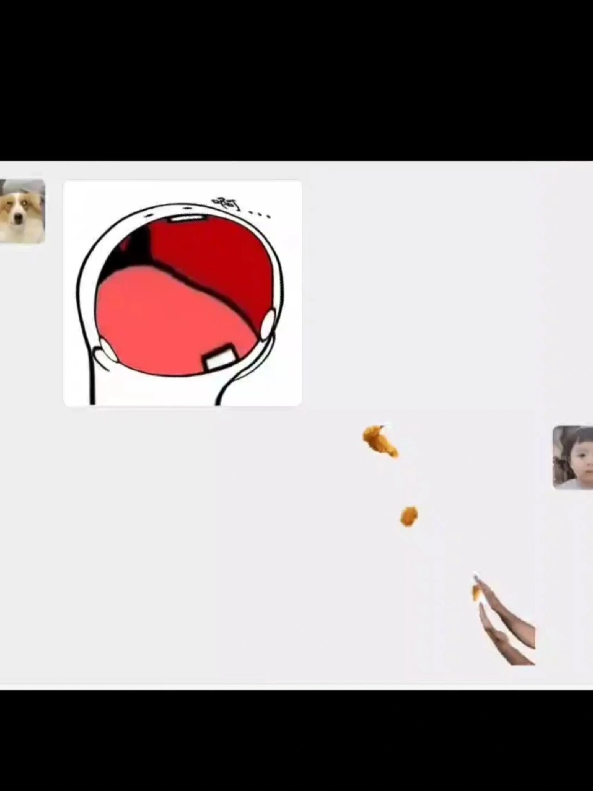 投喂动图表情包 不很有意思吗?