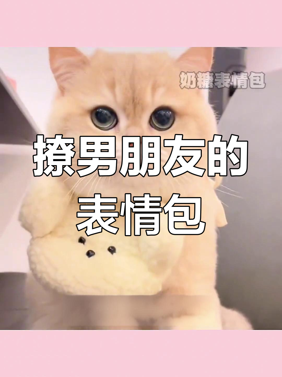 日常撩男友,套路表情包大合集