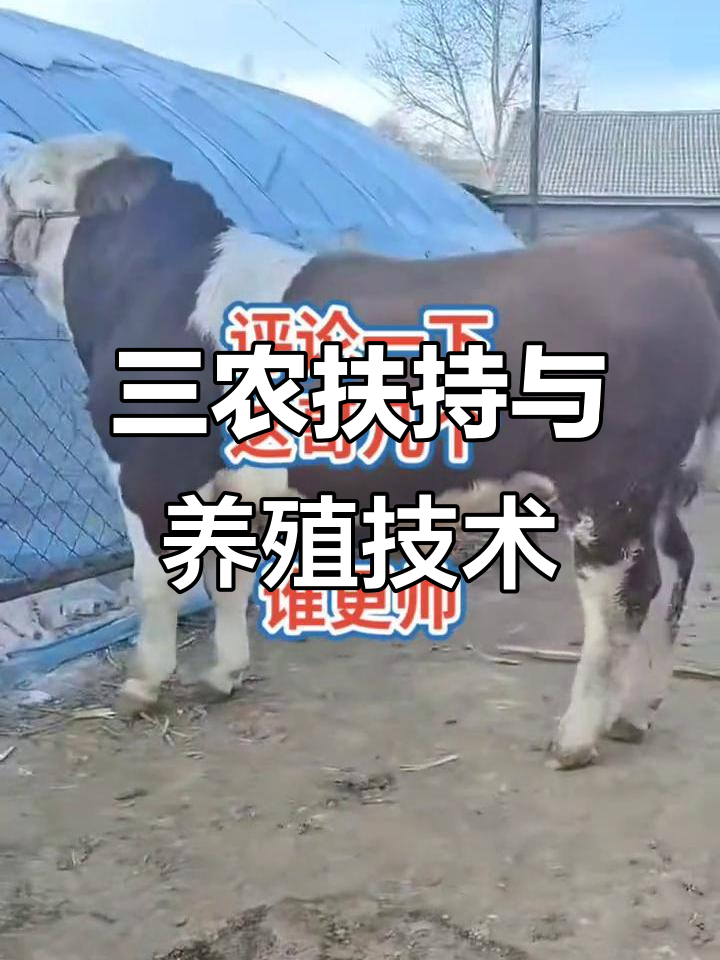 三农养殖致富网下载官网(三农养殖致富网下载官网最新)