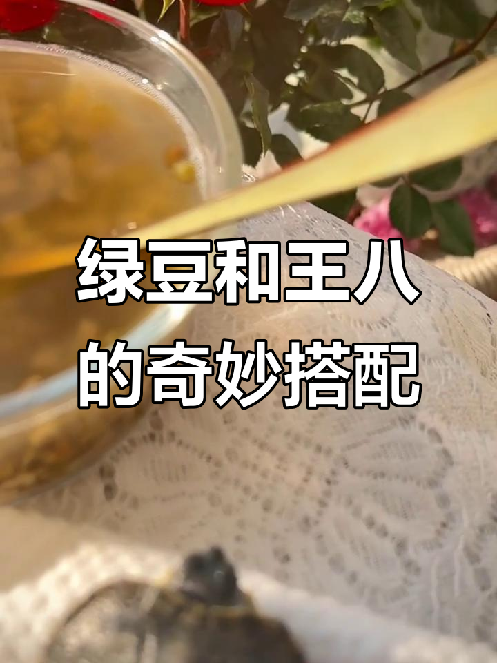 绿豆配王八,竟然这么有趣!