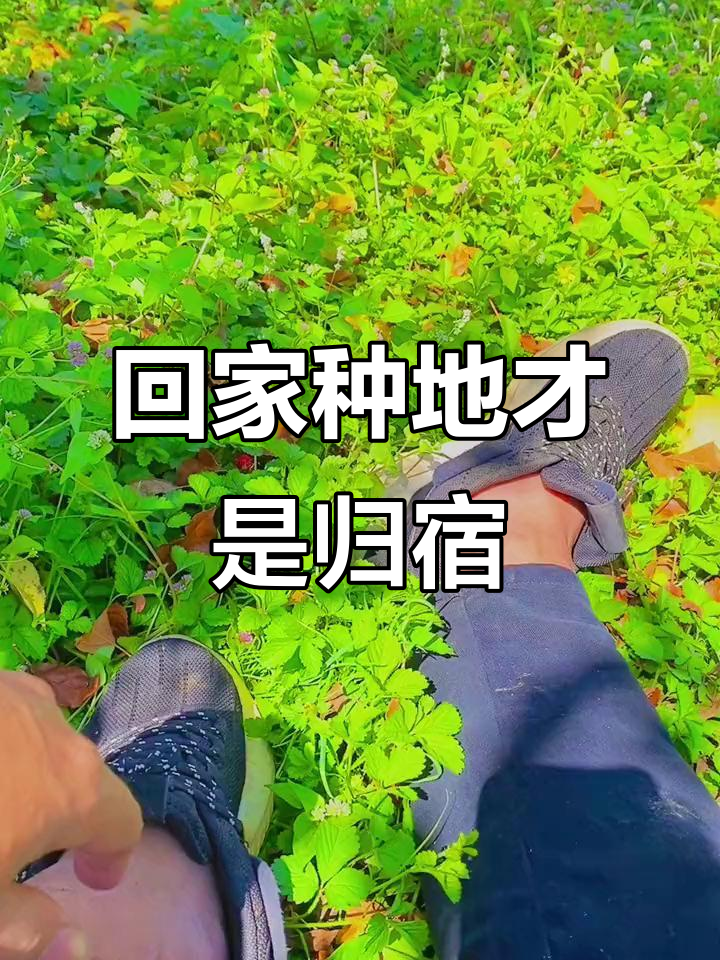 20年漂泊,最后还是回到家乡种地最安心