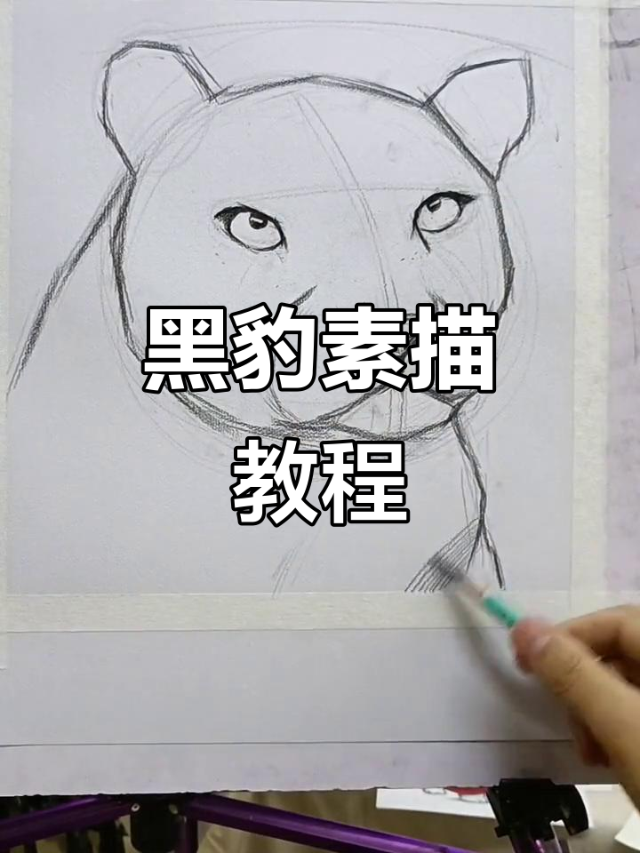 教你画帅气黑豹,轻松掌握素描技巧