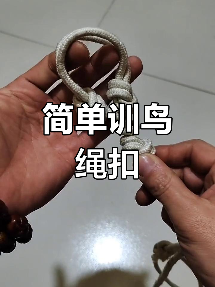 鸟扣解法图解图片