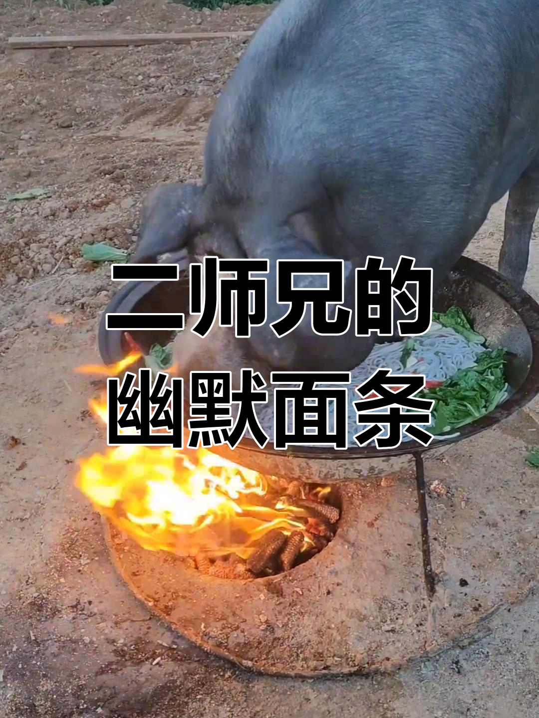冬天吃面条也能这么搞笑,二师兄教你新玩法