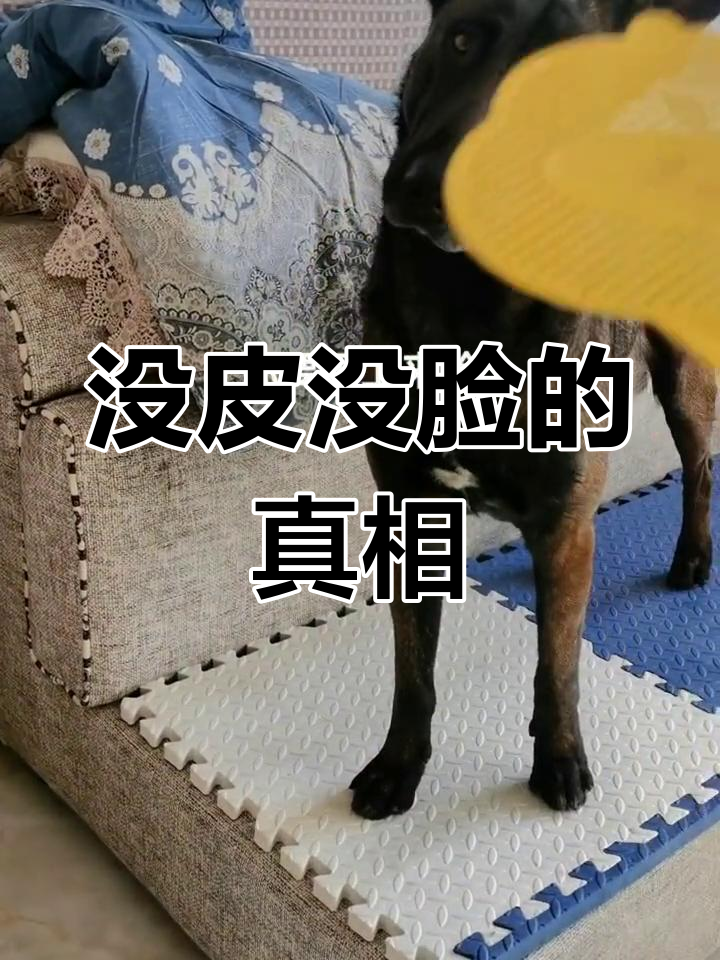 惯坏了,没皮没脸成了常态