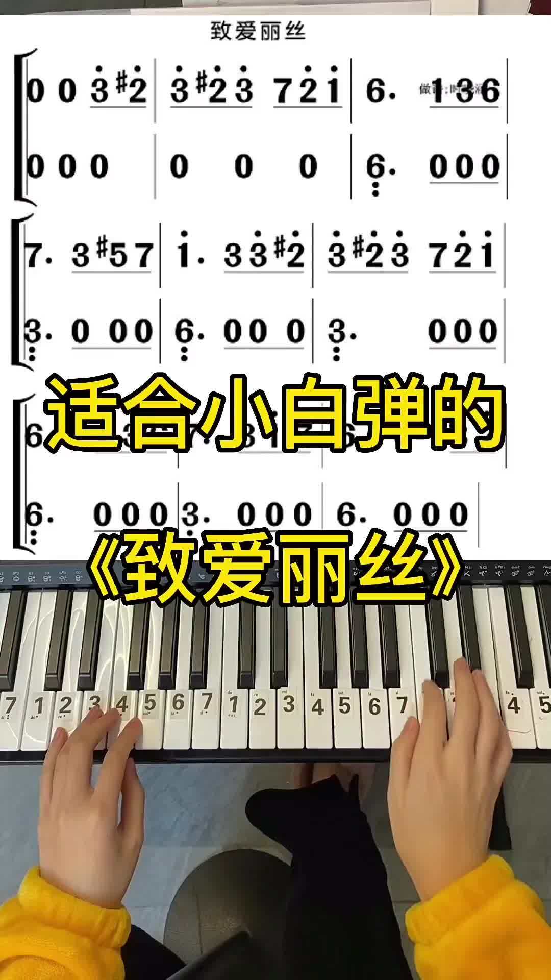 电子琴《致爱丽丝》弹奏