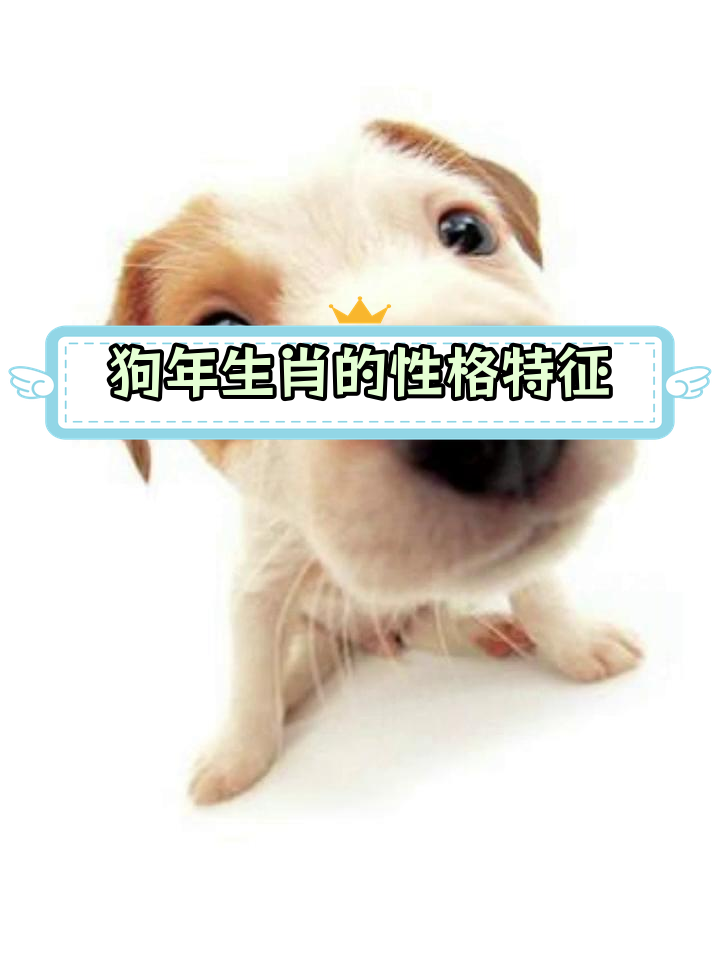 属狗人的独特性格解析