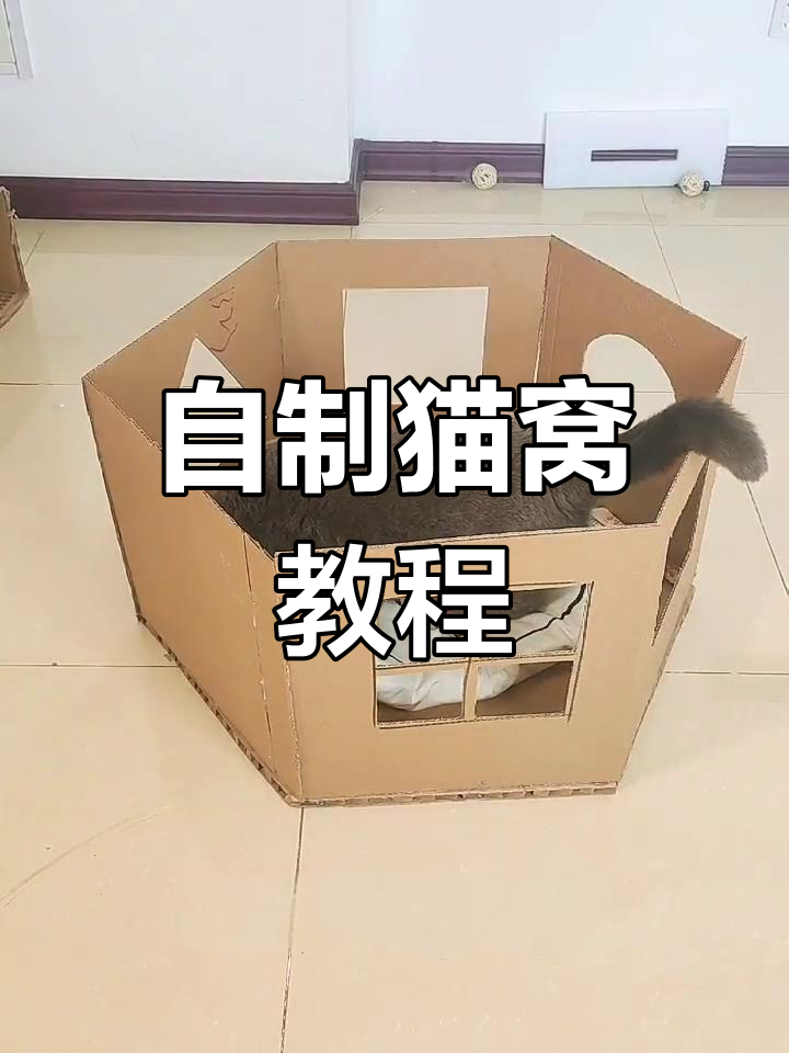 用纸箱做猫咪产房图解图片