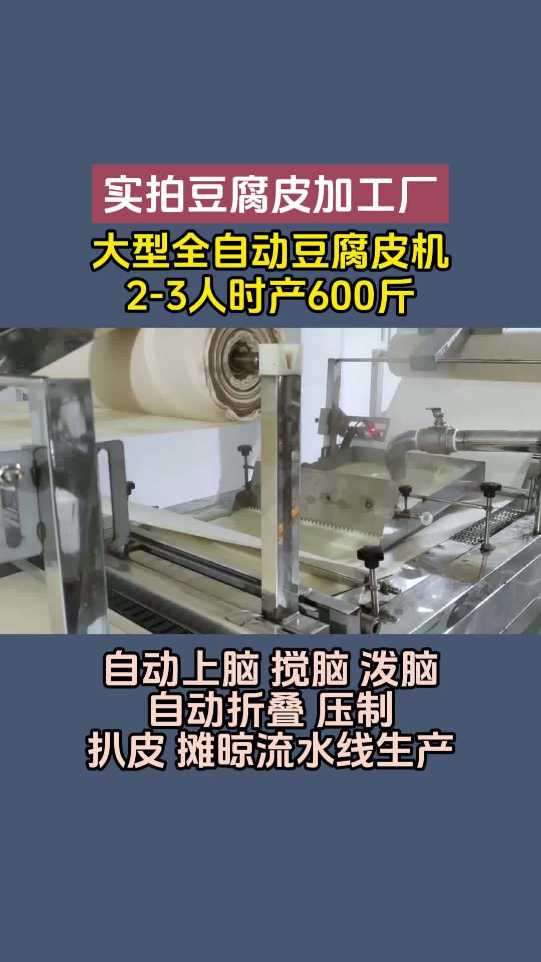 实拍豆腐皮加工厂生产豆腐皮太轻松 豆腐皮机 豆腐皮加工厂都在用全