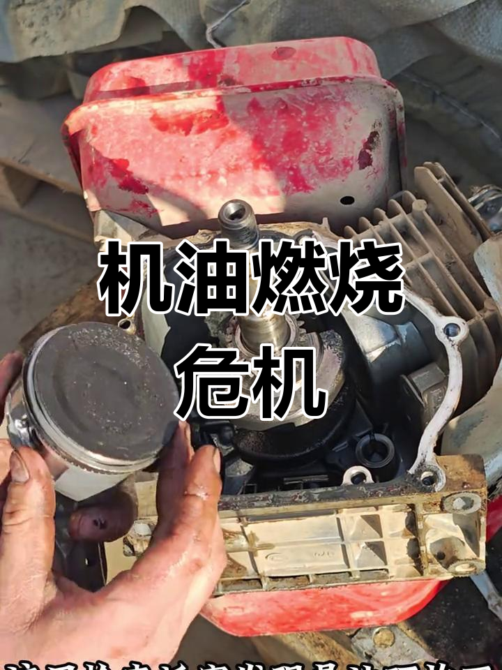 170汽油机故障大修,机油狂烧,水泵报废!