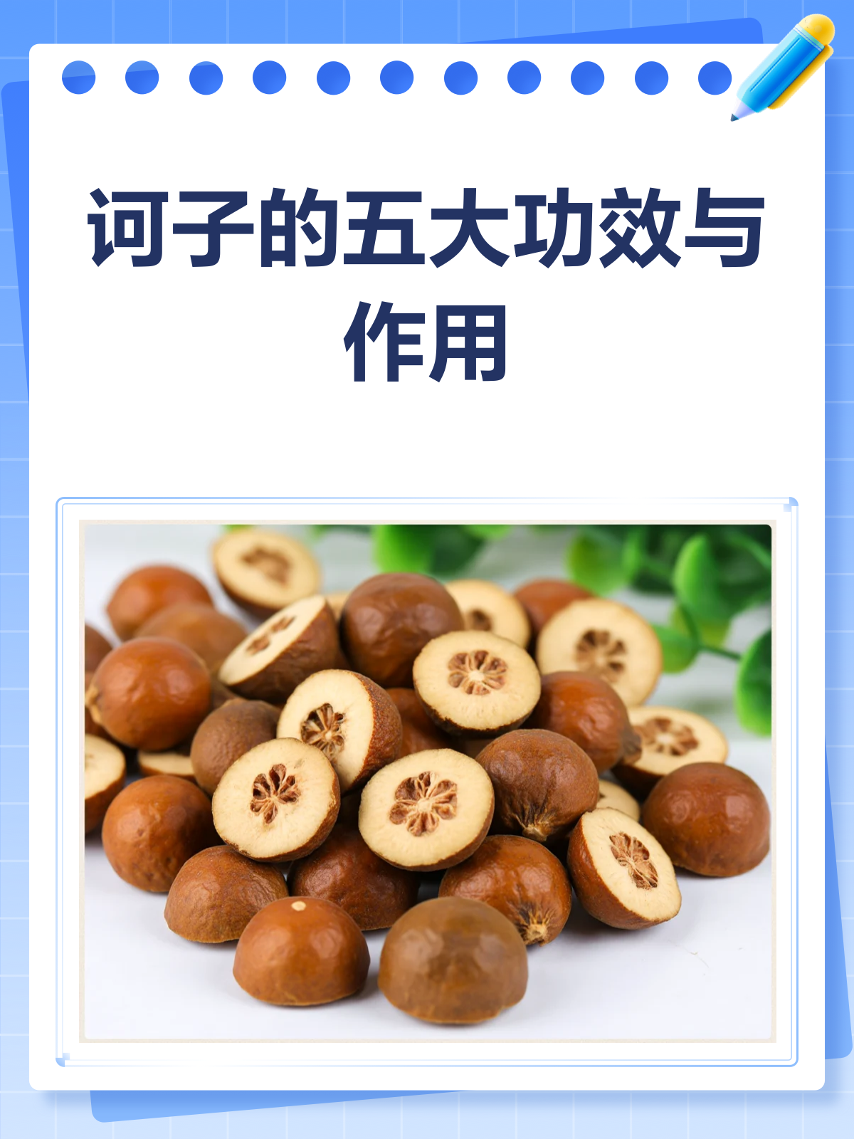 诃子虽小,功效却大!止咳止泻又利咽