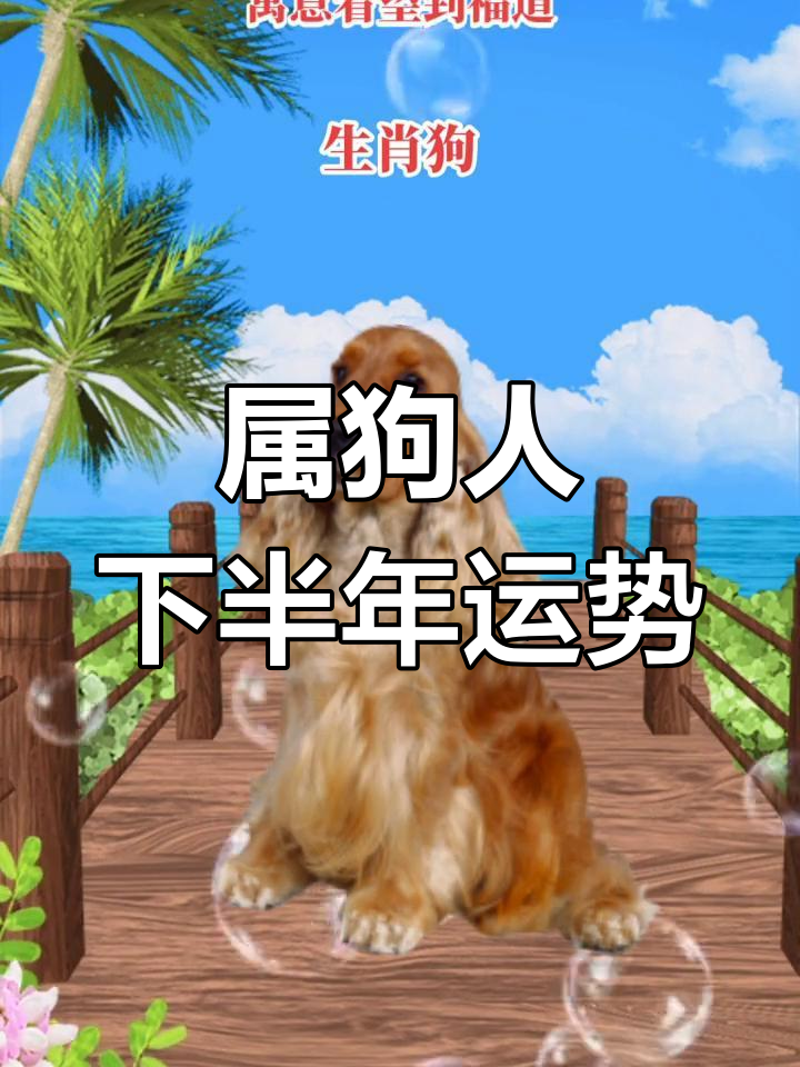 下周运势最好的生肖狗(本周属狗运势非常)