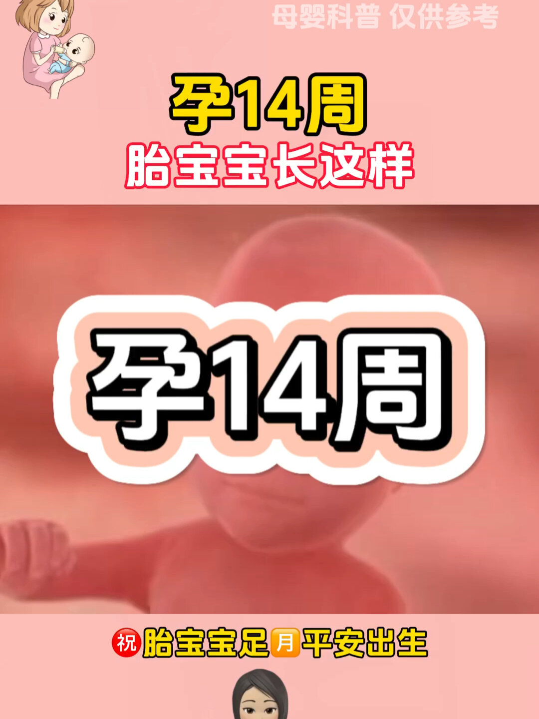 你知道孕14周的胎宝宝长什么样子吗?