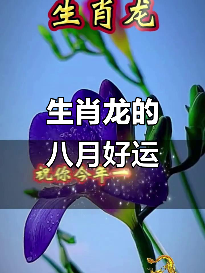 事业运势生肖逆袭(事业运势是什么意思)